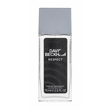 David Beckham Respect deospray 75 ml pro muže