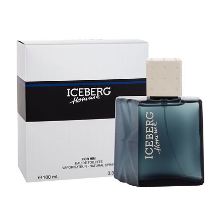 Iceberg Homme 100 ml toaletní voda pro muže