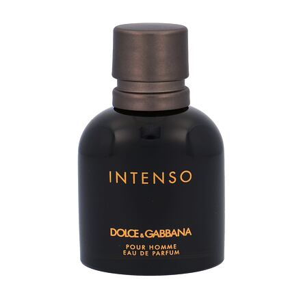 Dolce&Gabbana Pour Homme Intenso 40 ml parfémovaná voda pro muže
