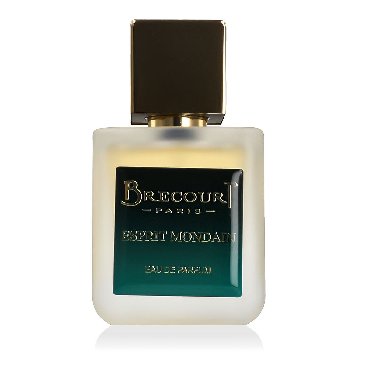 Brecourt Esprit Mondain parfémovaná voda 50 ml pre mužov