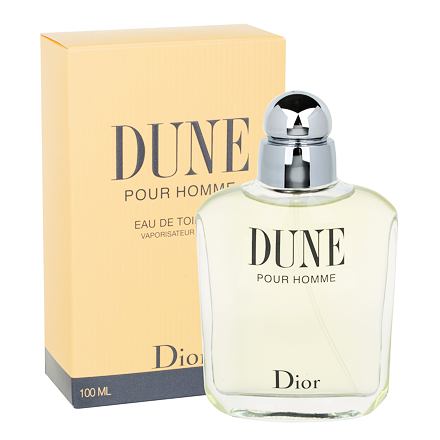 Christian Dior Dune Pour Homme toaletní voda 100 ml pro muže