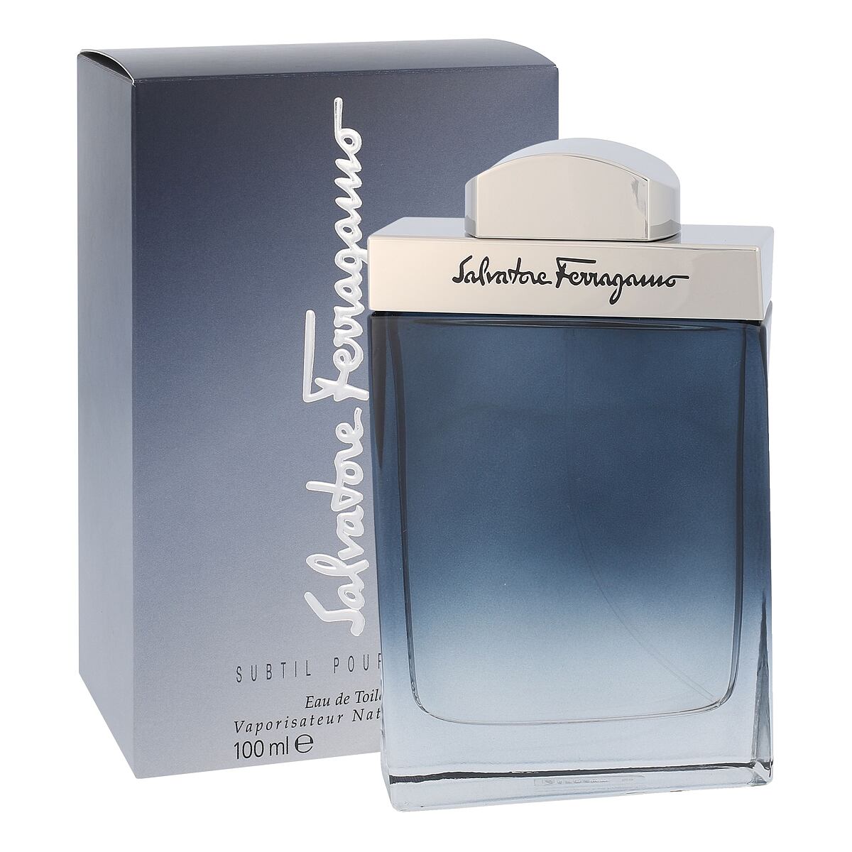 Salvatore Ferragamo Subtil Pour Homme 100 ml toaletní voda pro muže