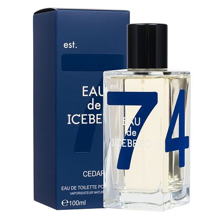 Iceberg Eau de Iceberg Cedar 100 ml toaletní voda pro muže