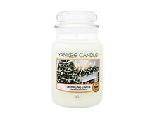Vonná svíčka Yankee Candle Twinkling Lights 37 g Kazeta
