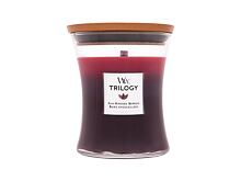 Vonná svíčka WoodWick Trilogy Sun Ripened Berries 275 g