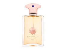 Parfémovaná voda Amouage Dia pour Homme 100 ml