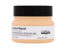 Maska na vlasy L'Oréal Professionnel Absolut Repair Professional Mask 250 ml
