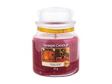 Vonná svíčka Yankee Candle Holiday Hearth 411 g