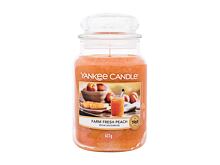 Vonná svíčka Yankee Candle Farm Fresh Peach 623 g
