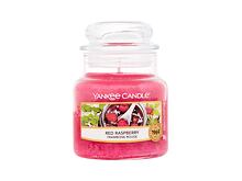 Vonná svíčka Yankee Candle Red Raspberry 49 g