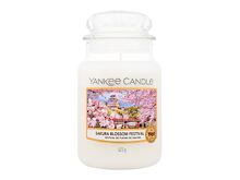 Vonná svíčka Yankee Candle Sakura Blossom Festival 37 g Kazeta
