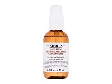 Bezoplachová péče Kiehl´s Smoothing Oil-Infused Leave-In Concentrate 75 ml