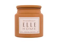 Vonná svíčka Elle Home Almond Blossom 350 g
