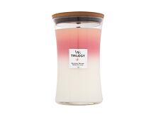 Vonná svíčka WoodWick Trilogy Blooming Orchard 610 g