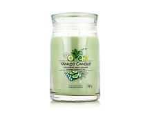 Vonná svíčka Yankee Candle Signature Cucumber Mint Cooler 567 g