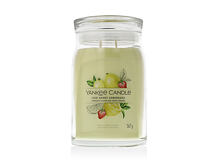 Vonná svíčka Yankee Candle Signature Iced Berry Lemonade 567 g