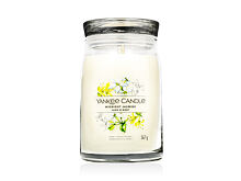 Vonná svíčka Yankee Candle Signature Midnight Jasmine 567 g
