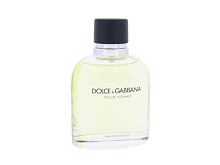 Toaletní voda Dolce&Gabbana Pour Homme 125 ml