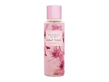 Tělový sprej Victoria´s Secret Velvet Petals Cashmere 250 ml