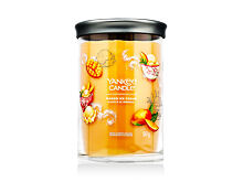Vonná svíčka Yankee Candle Signature Mango Ice Cream Tumbler 567 g