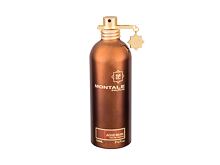Parfémovaná voda Montale Aoud Musk 100 ml