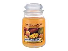 Vonná svíčka Yankee Candle Mango Peach Salsa 49 g