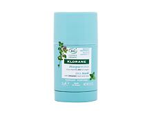 Pleťová maska Klorane Aquatic Mint Stick Mask 25 g