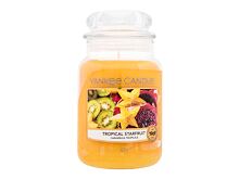 Vonná svíčka Yankee Candle Tropical Starfruit 411 g