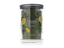 Vonná svíčka Yankee Candle Signature Sage & Citrus Tumbler 567 g