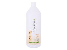 Šampon Biolage Smooth Proof 1000 ml