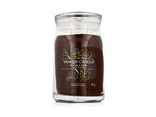 Vonná svíčka Yankee Candle Signature Praline & Birch 567 g
