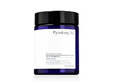 Denní pleťový krém Pyunkang Yul Basic Moisture Cream 100 ml