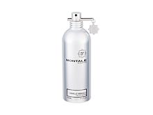 Parfémovaná voda Montale Vanille Absolu 100 ml