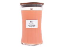 Vonná svíčka WoodWick Chilli Pepper Gelato 610 g