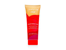 Maska na vlasy Inebrya Color Perfect Mask 250 ml