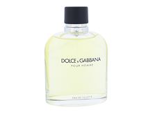 Toaletní voda Dolce&Gabbana Pour Homme 125 ml