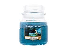 Vonná svíčka Yankee Candle Moonlit Cove 49 g