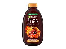 Šampon Garnier Botanic Therapy Ginger Recovery 400 ml