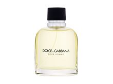 Toaletní voda Dolce&Gabbana Pour Homme 125 ml