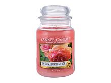 Vonná svíčka Yankee Candle Sun-Drenched Apricot Rose 623 g