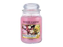 Vonná svíčka Yankee Candle Fresh Cut Roses 623 g