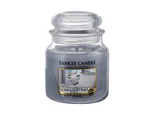 Vonná svíčka Yankee Candle A Calm & Quiet Place 49 g