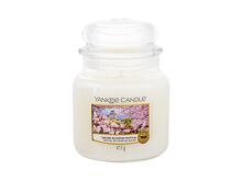 Vonná svíčka Yankee Candle Sakura Blossom Festival 37 g Kazeta