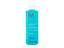 Šampon Moroccanoil Repair 250 ml