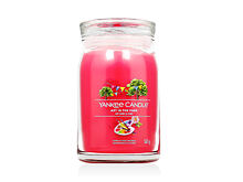 Vonná svíčka Yankee Candle Signature Art in the Park 567 g