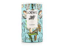 Toaletní voda Loewe Paula's Ibiza 50 ml