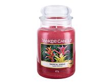 Vonná svíčka Yankee Candle Tropical Jungle 411 g