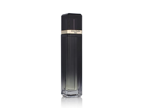 Toaletní voda Paris Hilton Gold Rush Man 100 ml
