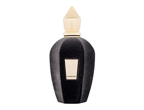 Parfémovaná voda Xerjoff Ouverture 100 ml