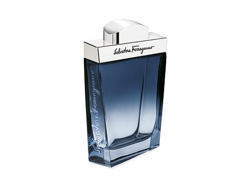 Toaletní voda Ferragamo Subtil Pour Homme 100 ml